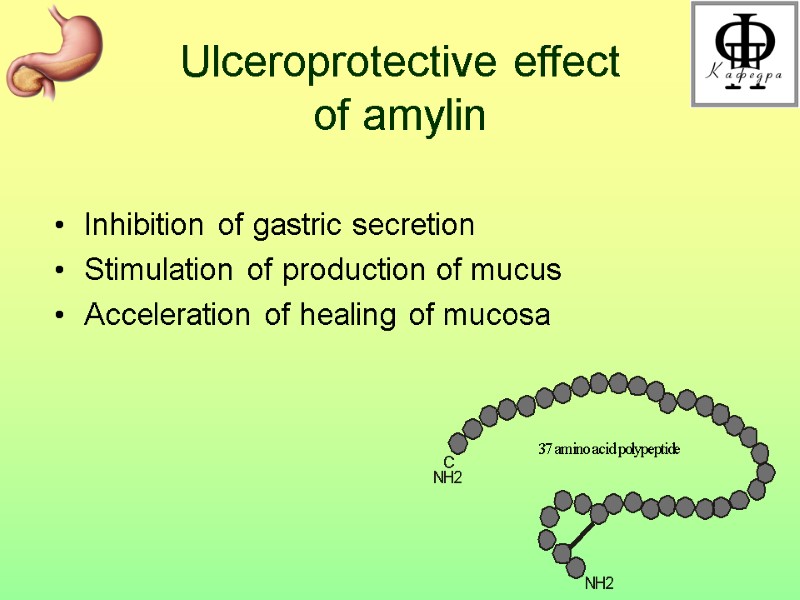 Ulceroprotective effect  of amylin  Inhibition of gastric secretion Stimulation of production of